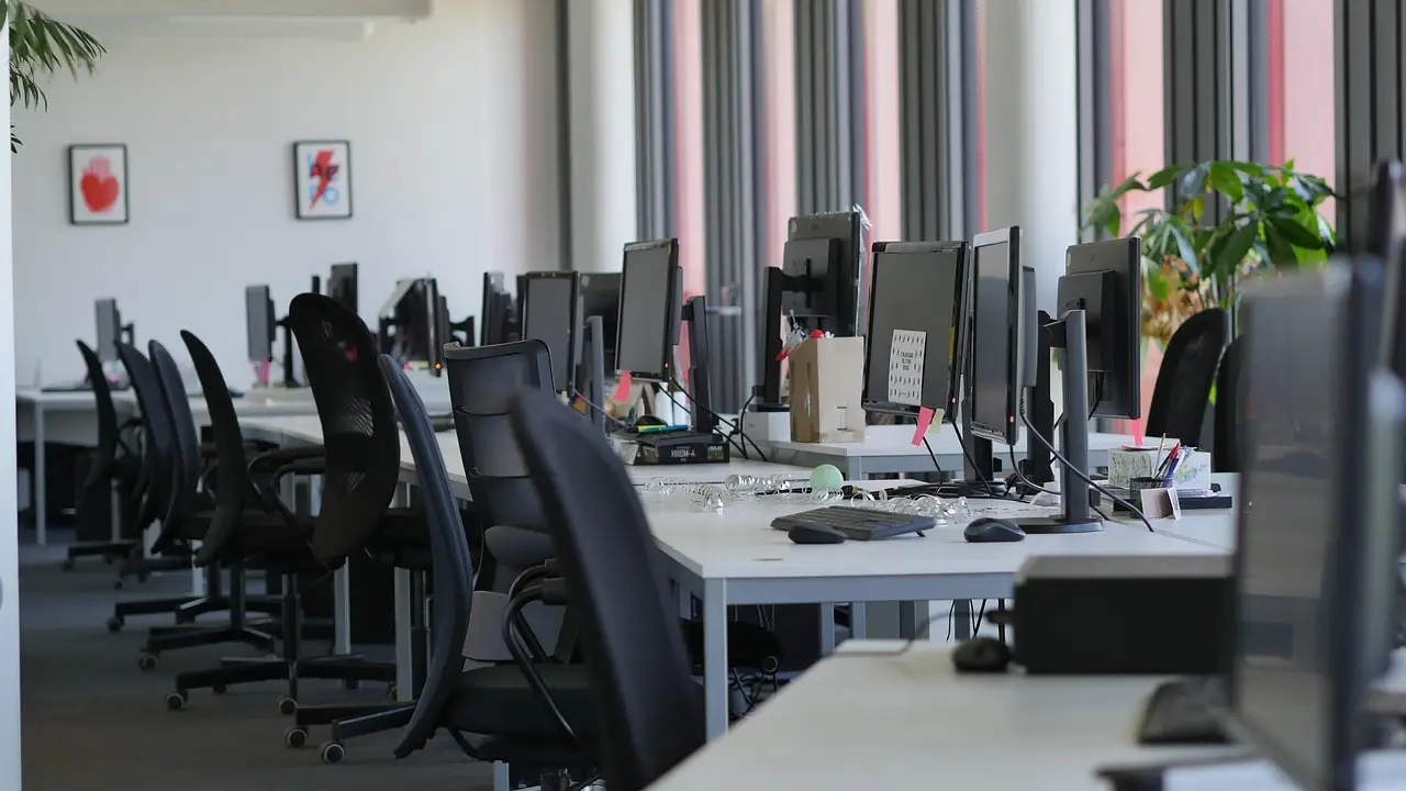 the rise and fall of WeWork